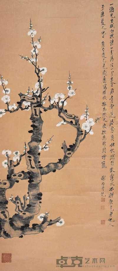 谢稚柳  白梅 立轴 96×42cm